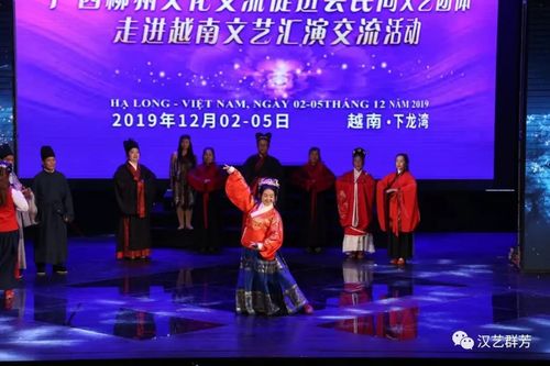 文化交流, 漢藝群芳 走進越南......